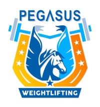 LogoPegasus